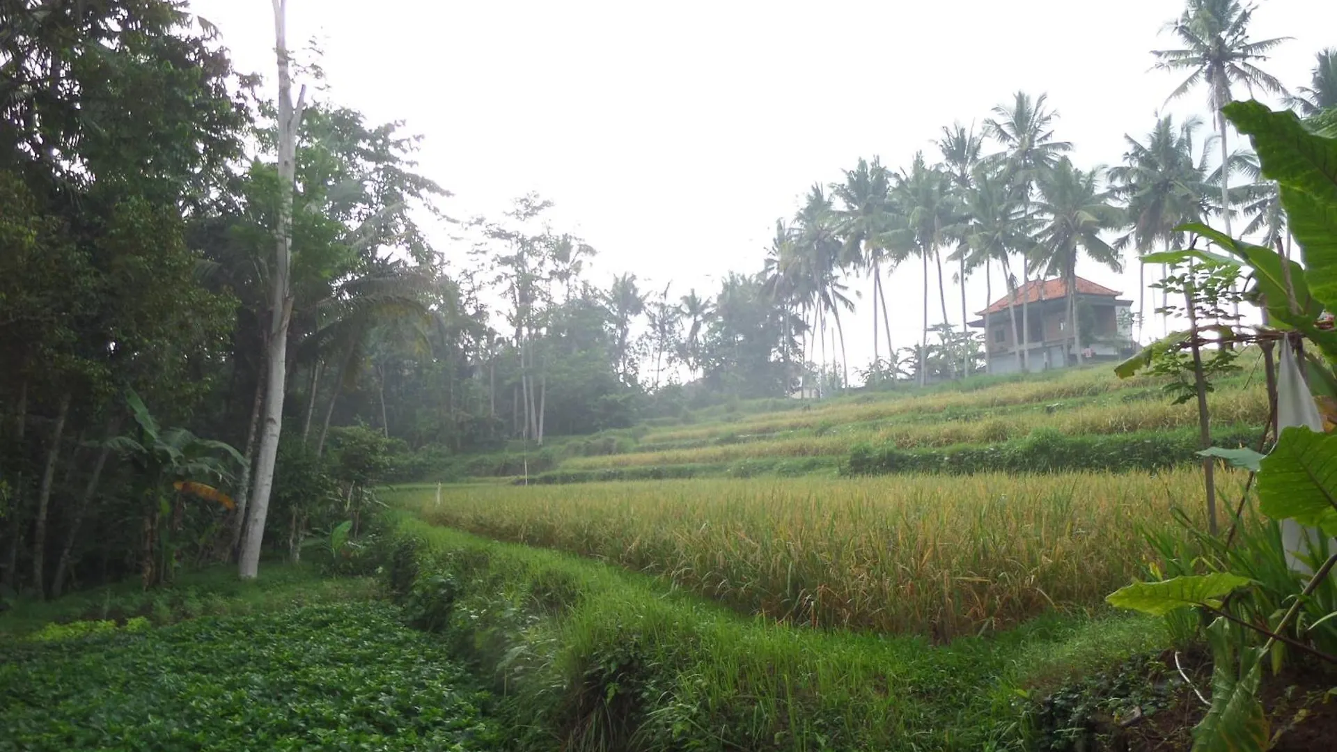 Holiday park Alam Sembuwuk Ubud