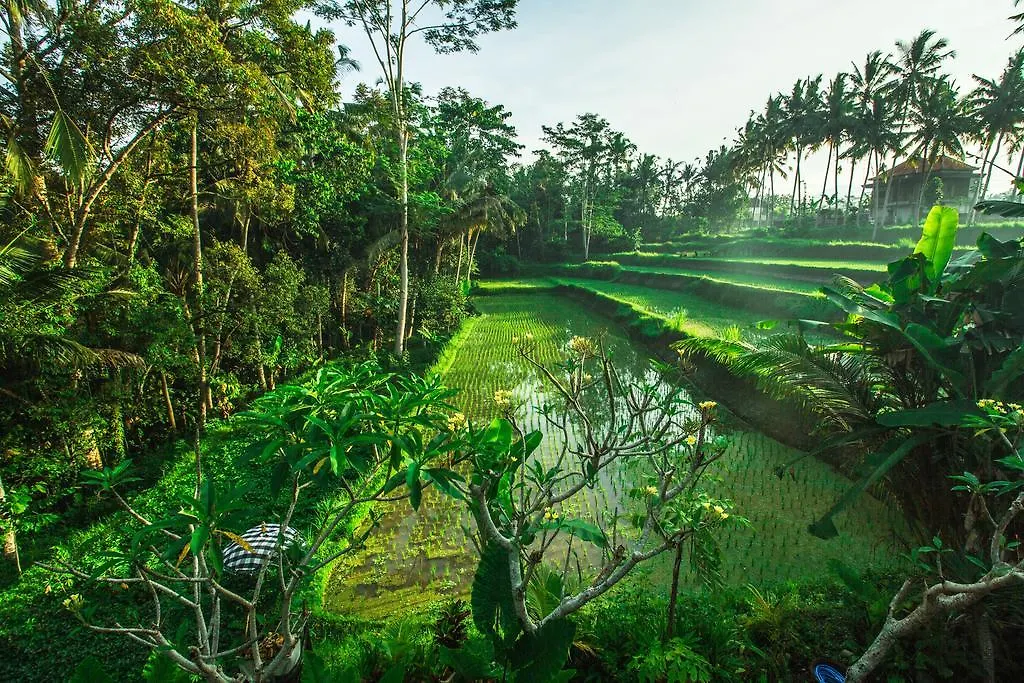 Alam Sembuwuk Ubud Holiday park Ubud (Bali)