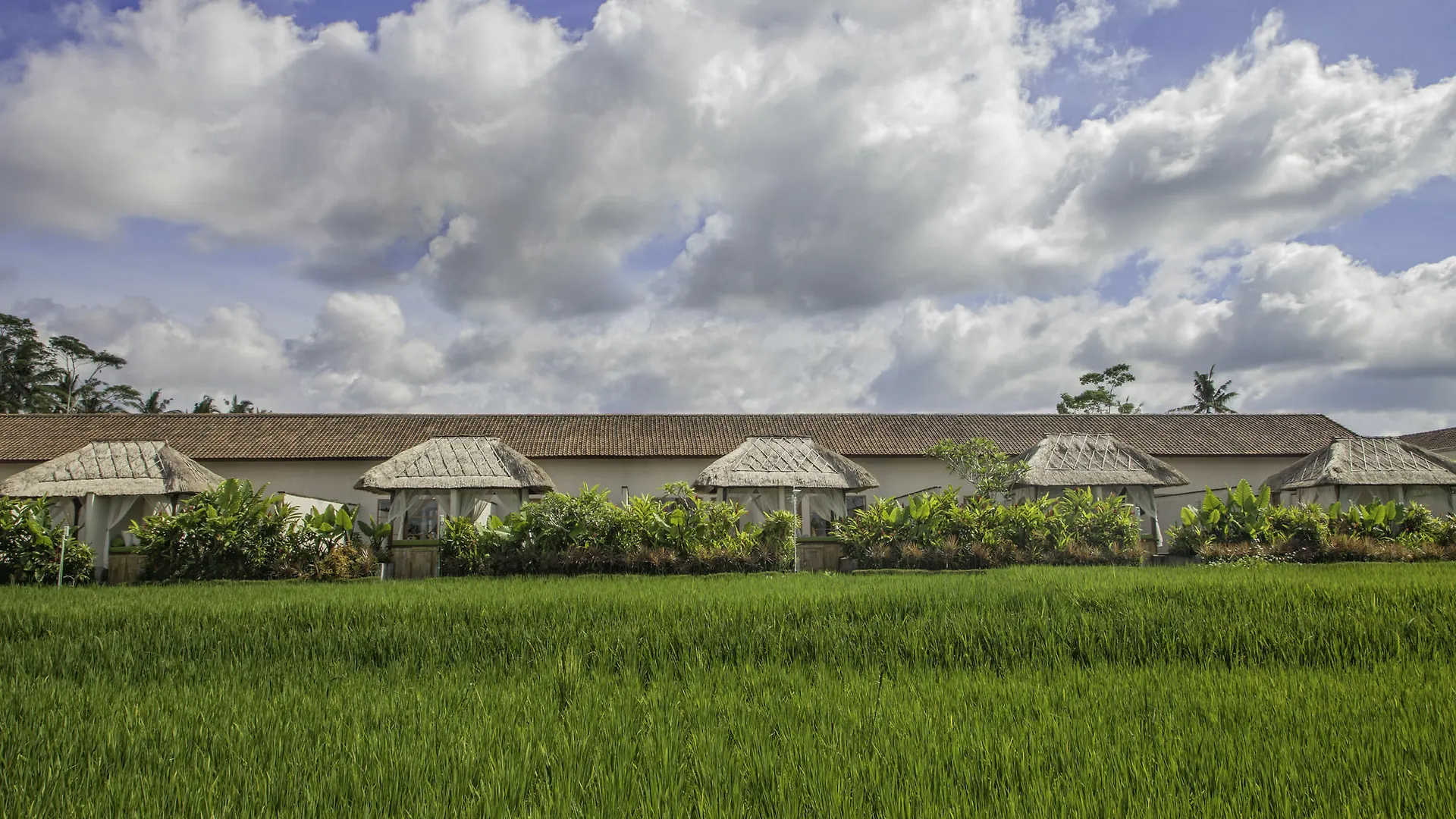 Holiday park Alam Sembuwuk Ubud
