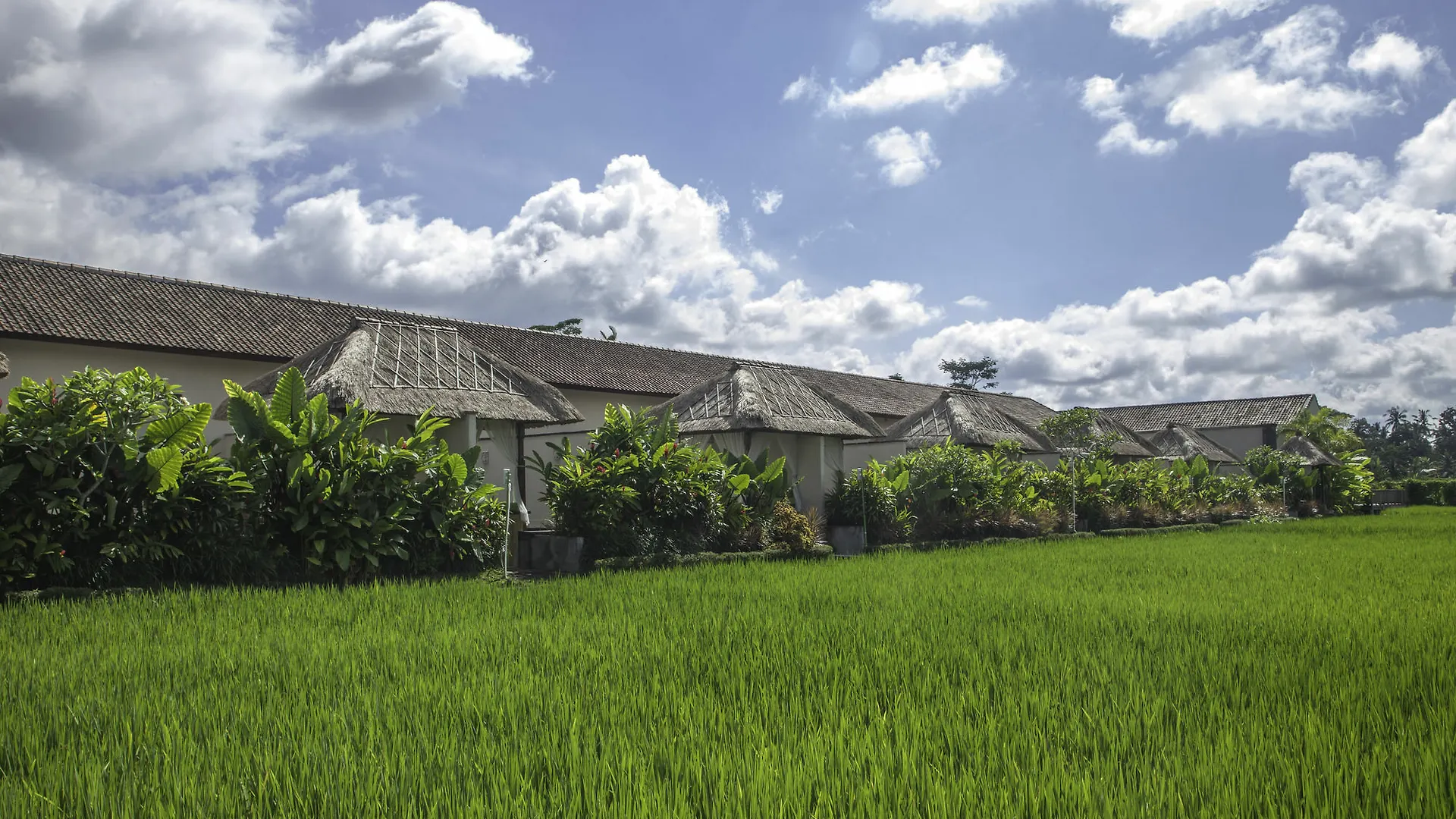 Holiday park Alam Sembuwuk Ubud